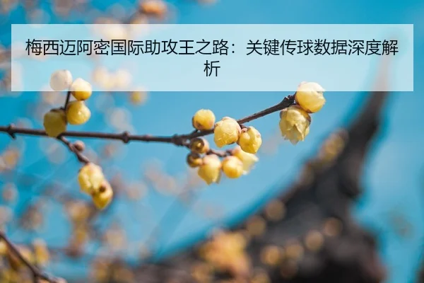 mei-xi-mai-a-mi-guo-ji-zhu-gong-wang-zhi-lu-guan-jian-chuan-qiu-shu-ju-shen-du-jie-xi-2-141.jpg