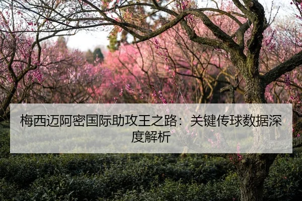 梅西迈阿密国际助攻王之路：关键传球数据深度解析