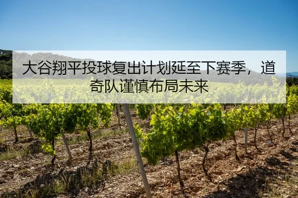 大谷翔平投球复出计划延至下赛季，道奇队谨慎布局未来
