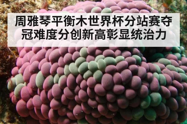 周雅琴平衡木世界杯分站赛夺冠难度分创新高彰显统治力